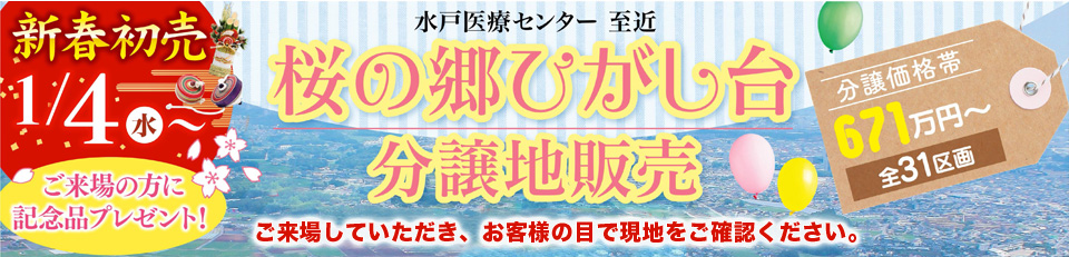 桜の郷
